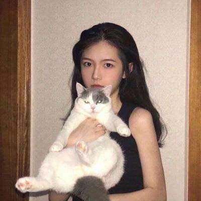 银铲铲之战官方版下载